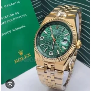 Rolex Land Dweller Watch