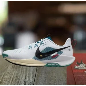 Nike Reactx Pegasus