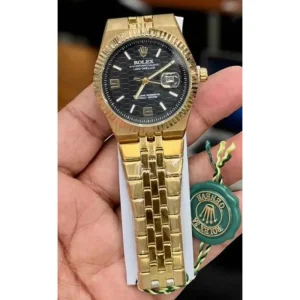 Rolex Land Dweller Watch