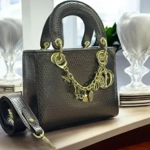 Christian Dior Bag