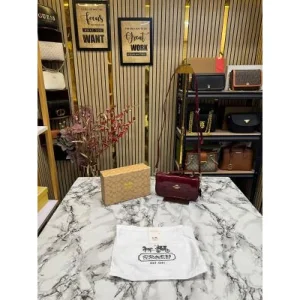 Coach Hailey Crossbody Bag