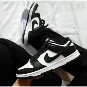 Nike Sb Dunk Shoes